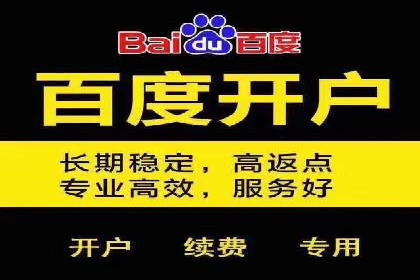 百度推广竞价下的市场洞察：一则金融行业的成功案例